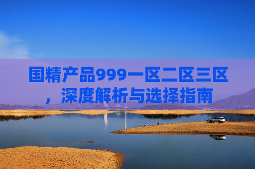 国精产品999一区二区三区，深度解析与选择指南