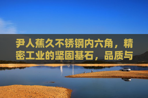 尹人蕉久不锈钢内六角，精密工业的坚固基石，品质与耐用的完美结合