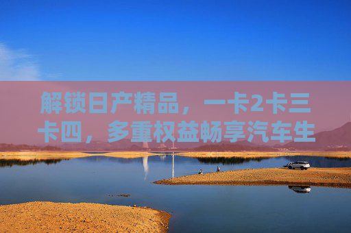 解锁日产精品，一卡2卡三卡四，多重权益畅享汽车生活，解锁日产精品，多重权益卡享汽车生活