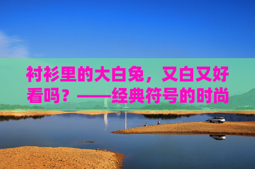 衬衫里的大白兔，又白又好看吗？——经典符号的时尚演绎与视觉体验