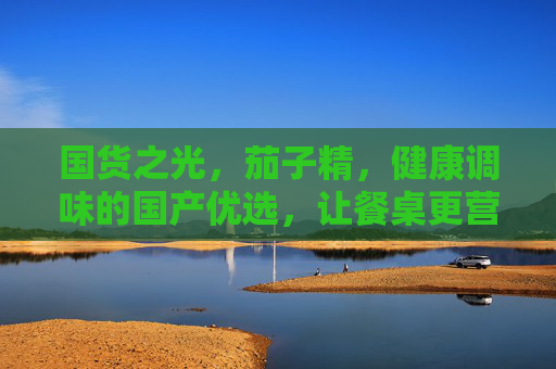 国货之光，茄子精，健康调味的国产优选，让餐桌更营养更便捷，国货之光茄子精，健康调味，让餐桌更营养更便捷