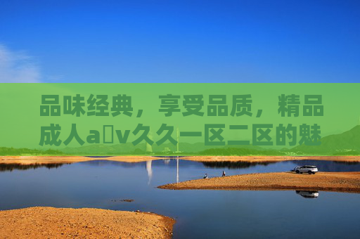品味经典，享受品质，精品成人a v久久一区二区的魅力解析