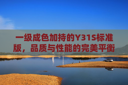 一级成色加持的Y31S标准版，品质与性能的完美平衡