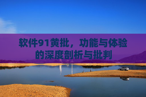 软件91黄批，功能与体验的深度剖析与批判
