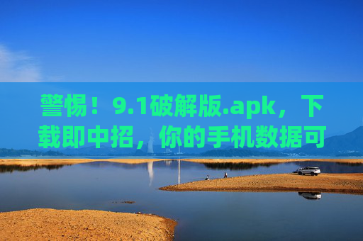 警惕！9.1破解版.apk，下载即中招，你的手机数据可能已泄露！警惕！9.1破解版.apk，下载即中招，你的手机数据可能已泄露！
