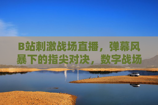 B站刺激战场直播，弹幕风暴下的指尖对决，数字战场里的青春共鸣