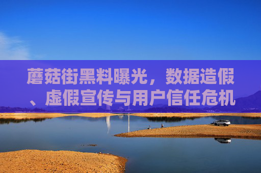 蘑菇街黑料曝光，数据造假、虚假宣传与用户信任危机的深层剖析，蘑菇街黑料曝光，数据造假与虚假宣传背后的用户信任危机剖析