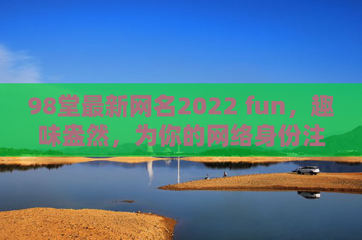 98堂最新网名2022 fun，趣味盎然，为你的网络身份注入个性活力