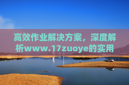 高效作业解决方案，深度解析www.17zuoye的实用价值
