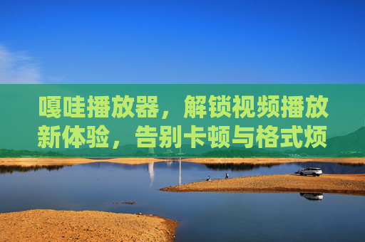 嘎哇播放器，解锁视频播放新体验，告别卡顿与格式烦恼