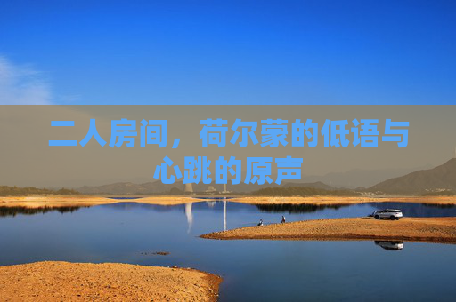 二人房间，荷尔蒙的低语与心跳的原声