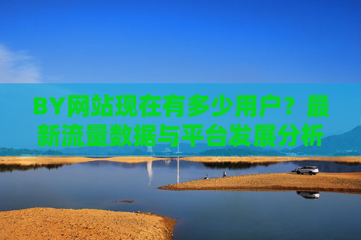 BY网站现在有多少用户？最新流量数据与平台发展分析