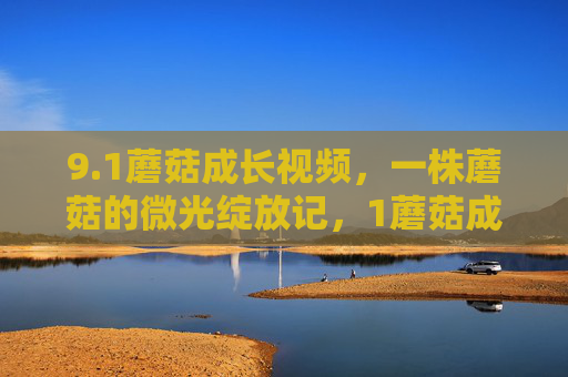 9.1蘑菇成长视频，一株蘑菇的微光绽放记，1蘑菇成长视频，一株蘑菇的微光绽放记
