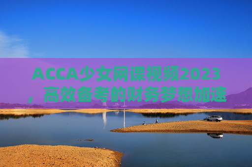 ACCA少女网课视频2023，高效备考的财务梦想加速器，让专业学习不再孤单