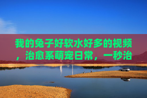 我的兔子好软水好多的视频，治愈系萌宠日常，一秒治愈你的不开心