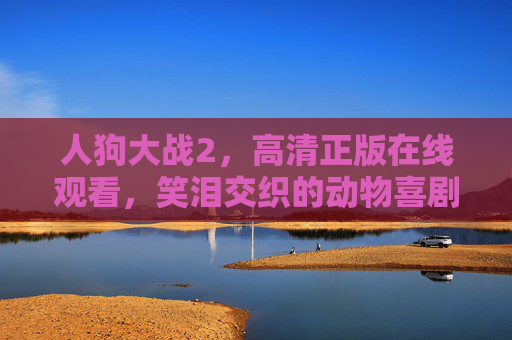 人狗大战2，高清正版在线观看，笑泪交织的动物喜剧续作，重温人与宠物的不解之缘，人狗大战2，笑泪交织的动物喜剧续作，重温人与宠物的不解之缘