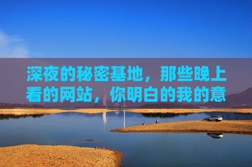 深夜的秘密基地，那些晚上看的网站，你明白的我的意思？