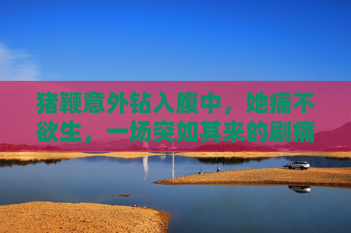 猪鞭意外钻入腹中，她痛不欲生，一场突如其来的剧痛与救援