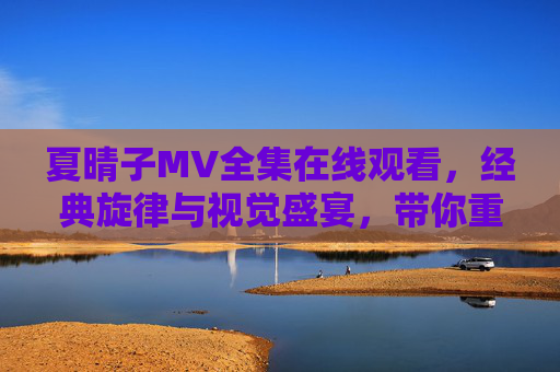 夏晴子MV全集在线观看，经典旋律与视觉盛宴，带你重温音乐时光