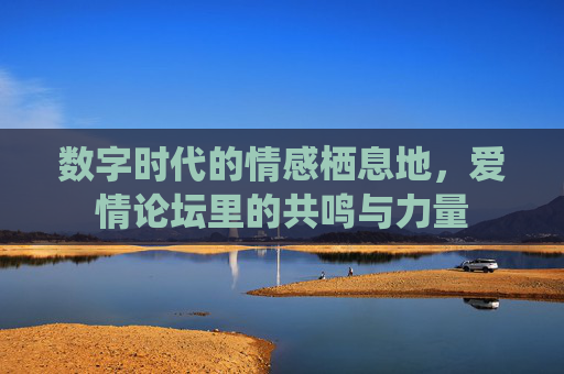 数字时代的情感栖息地，爱情论坛里的共鸣与力量