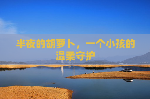 半夜的胡萝卜，一个小孩的温柔守护