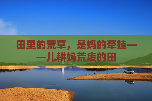 田里的荒草，是妈的牵挂——儿耕妈荒废的田