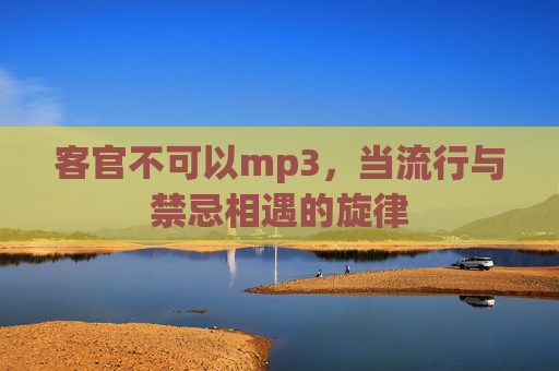 客官不可以mp3，当流行与禁忌相遇的旋律