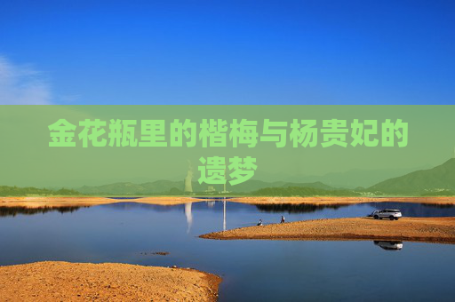 金花瓶里的楷梅与杨贵妃的遗梦