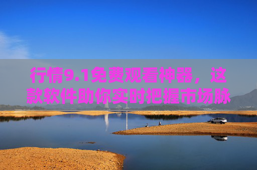 行情9.1免费观看神器，这款软件助你实时把握市场脉搏，交易决策更精准！