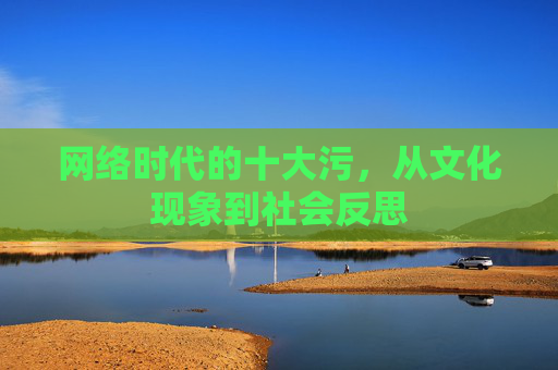 网络时代的十大污，从文化现象到社会反思