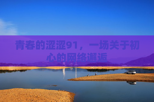 青春的涩涩91，一场关于初心的网络邂逅