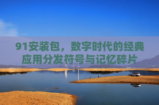 91安装包，数字时代的经典应用分发符号与记忆碎片