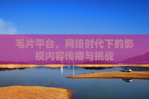毛片平台，网络时代下的影视内容传播与挑战