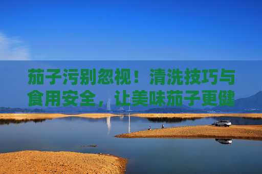 茄子污别忽视!清洗技巧与食用安全,让美味茄子更健康,茄子污别忽视,清洗技巧与食用安全,守护健康美味 茄子污别忽视!清洗技巧与食用安全,让美味茄子更健康,茄子污别忽视,清洗技巧与食用安全,守护健康美味