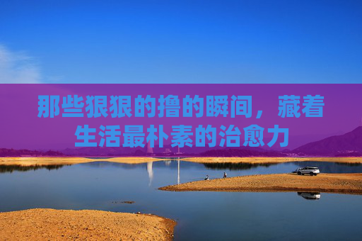 那些狠狠的撸的瞬间,藏着生活最朴素的治愈力 那些狠狠的撸的瞬间,藏着生活最朴素的治愈力