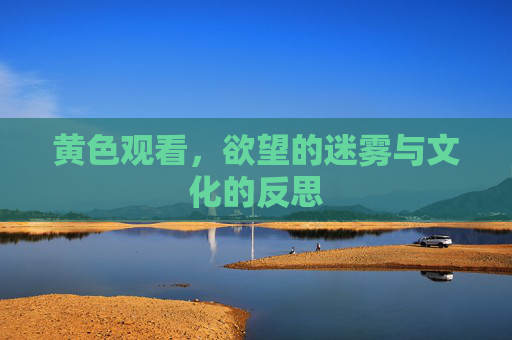 黄色观看,欲望的迷雾与文化的反思 黄色观看,欲望的迷雾与文化的反思