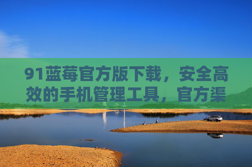 91蓝莓官方版下载,安全高效的手机管理工具,官方渠道获取是关键 91蓝莓官方版下载,安全高效的手机管理工具,官方渠道获取是关键