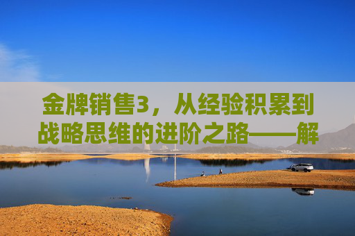 金牌销售3，从经验积累到战略思维的进阶之路——解码顶尖销售的底层逻辑