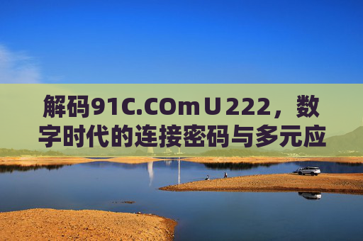 解码91C.COm∪222，数字时代的连接密码与多元应用探索