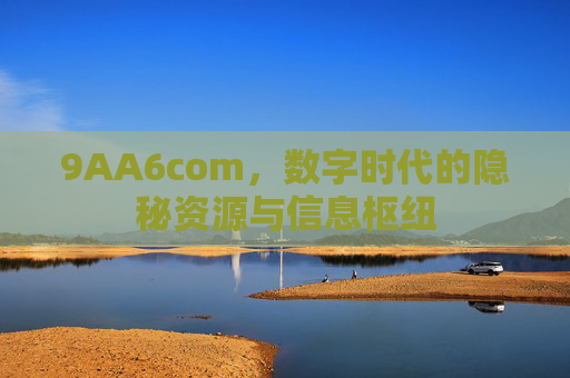 9AA6com，数字时代的隐秘资源与信息枢纽