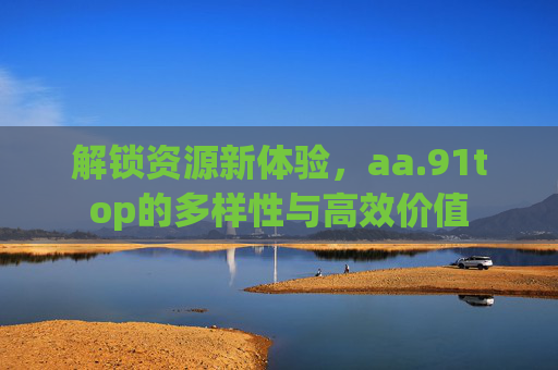 解锁资源新体验，aa.91top的多样性与高效价值