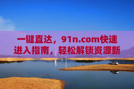 一键直达，91n.com快速进入指南，轻松解锁资源新体验