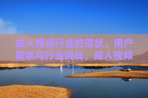 成人视频行业的现状、用户需求与行业挑战，成人视频行业的现状、用户需求与行业挑战