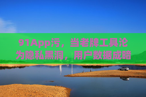 91App污，当老牌工具沦为隐私黑洞，用户数据成暗箱操作的温床
