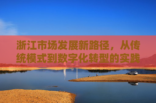 浙江市场发展新路径，从传统模式到数字化转型的实践与启示——基于某行业案例的深度解读