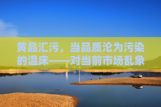 黄品汇污，当品质沦为污染的温床——对当前市场乱象的反思