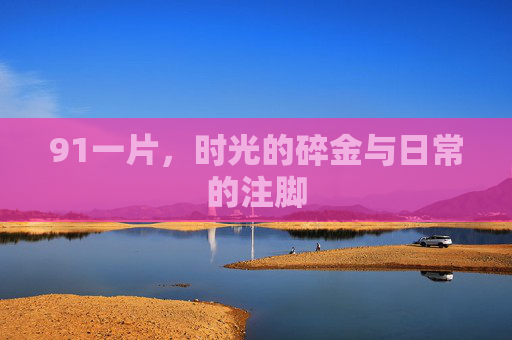 91一片，时光的碎金与日常的注脚
