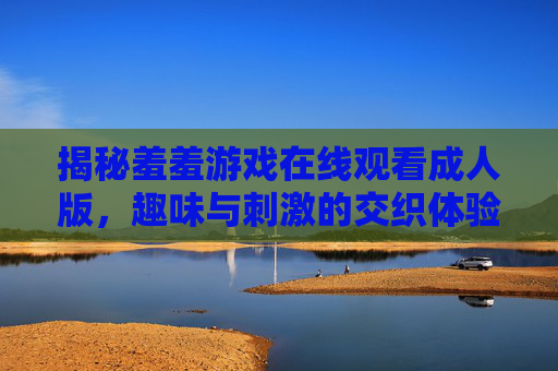 揭秘羞羞游戏在线观看成人版，趣味与刺激的交织体验