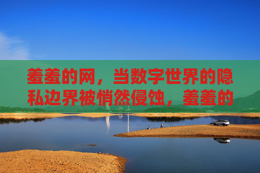 羞羞的网，当数字世界的隐私边界被悄然侵蚀，羞羞的网，数字世界隐私边界的悄然侵蚀