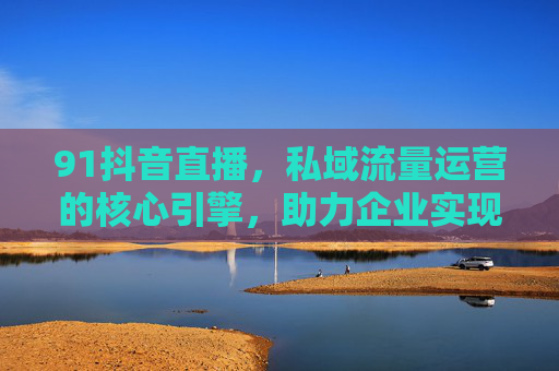 91抖音直播，私域流量运营的核心引擎，助力企业实现增长破局，91抖音直播，私域流量运营的核心引擎，助力企业实现增长破局